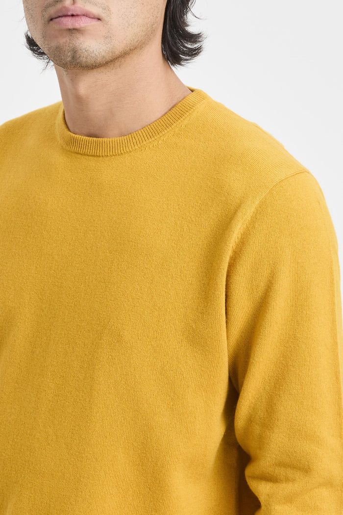 Maglia mustard uomo rege00896 - 5