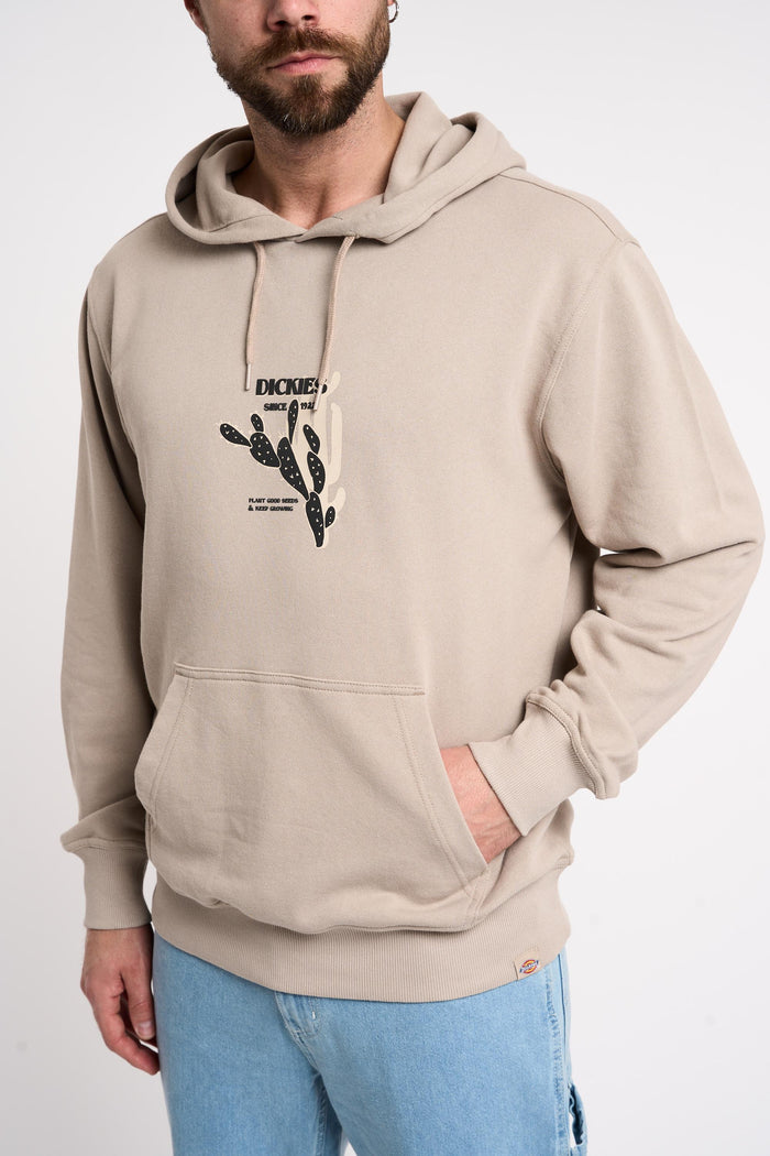 Felpa  uomo dk0a4yq7sandstone - 2