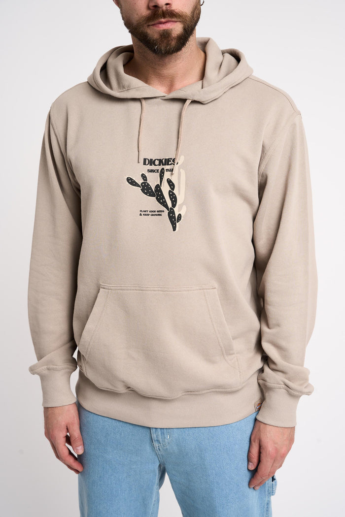 Felpa  uomo dk0a4yq7sandstone - 1