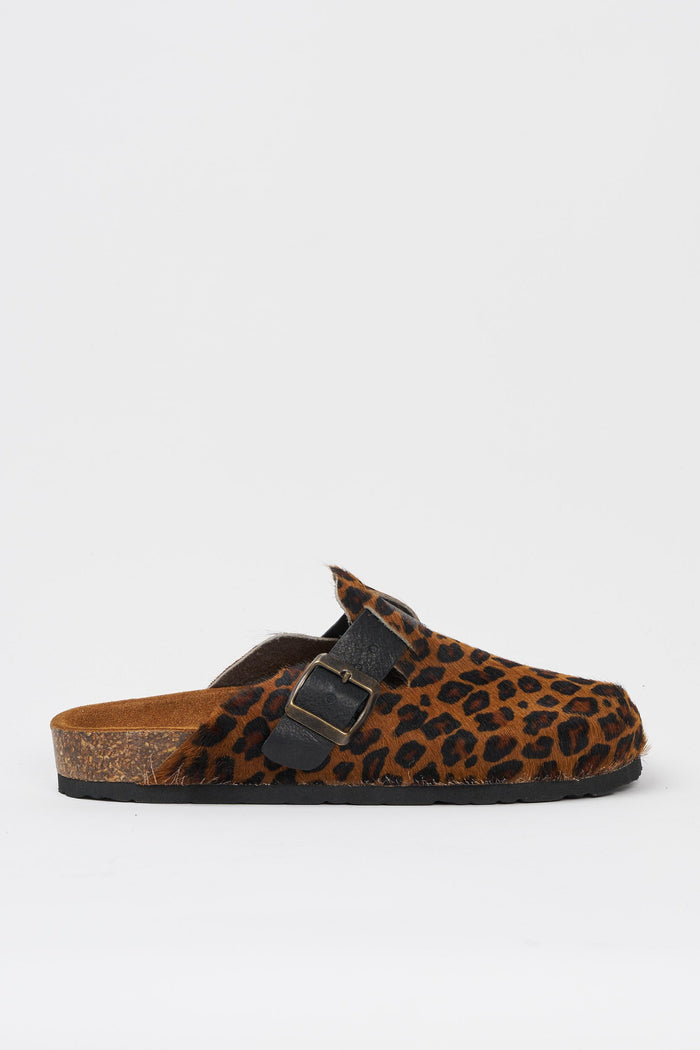 Sabot leopardato